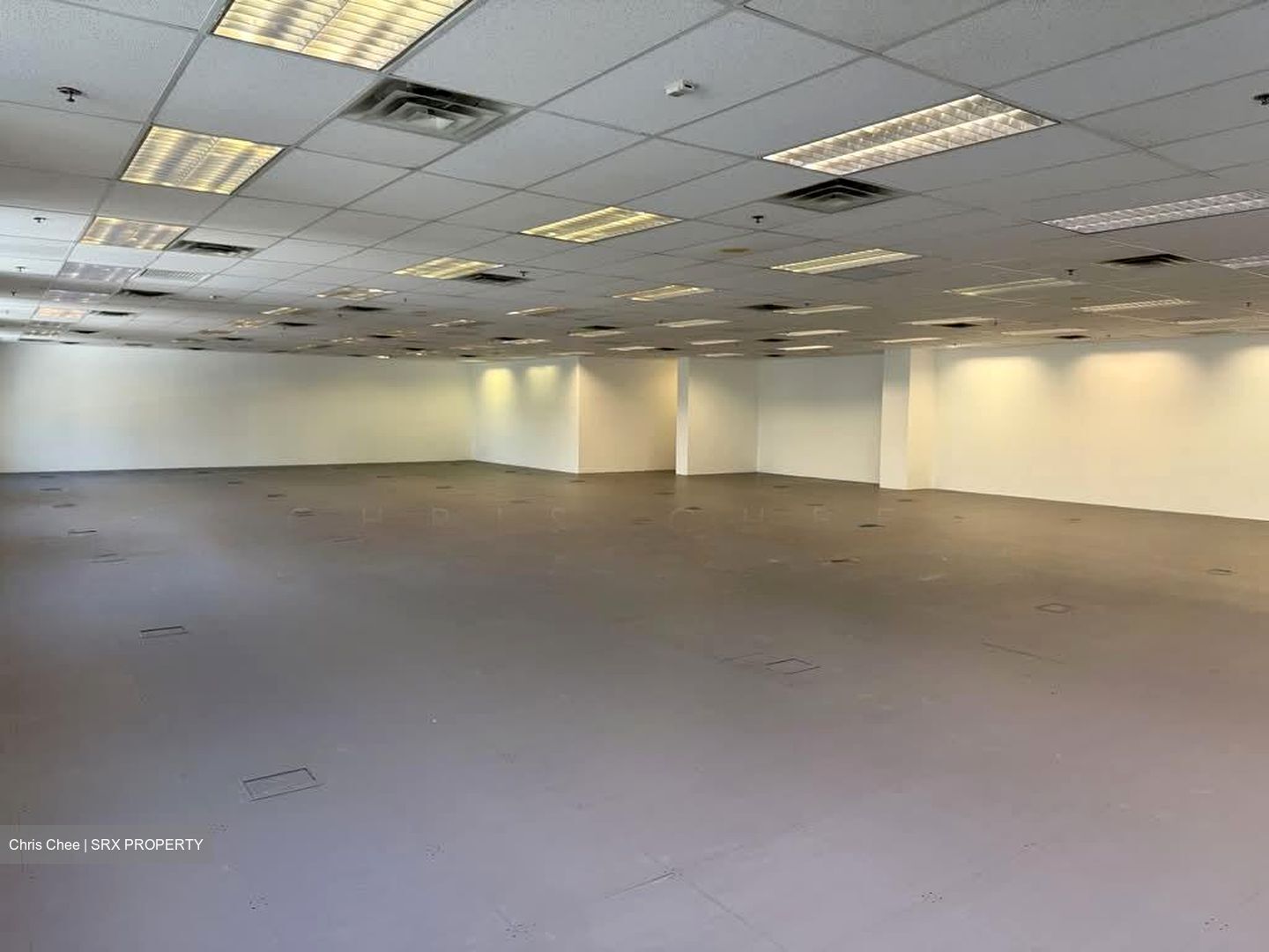 Haw Par Centre (D9), Office #586599021